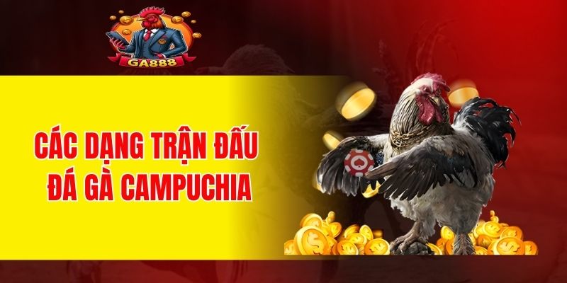 Các dạng trận đấu đá gà Campuchia
