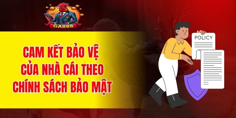 Cam kết bảo vệ thông tin của nhà cái theo chính sách bảo mật