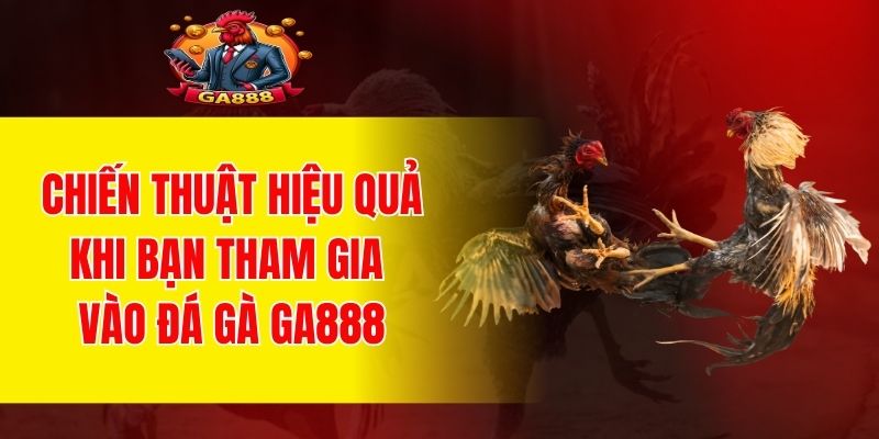 Chiến thuật hiệu quả khi bạn tham gia vào đá gà GA888