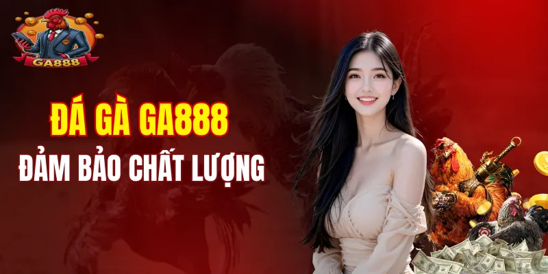 Đá gà GA888 khiến hội viên luôn hài lòng về chất lượng