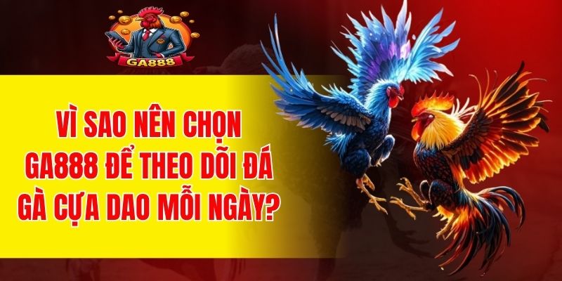 GA888 là nơi theo dõi đá gà uy tín hàng đầu