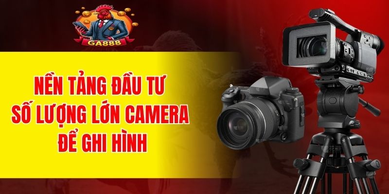 Nền tảng đầu tư số lượng lớn camera để ghi hình