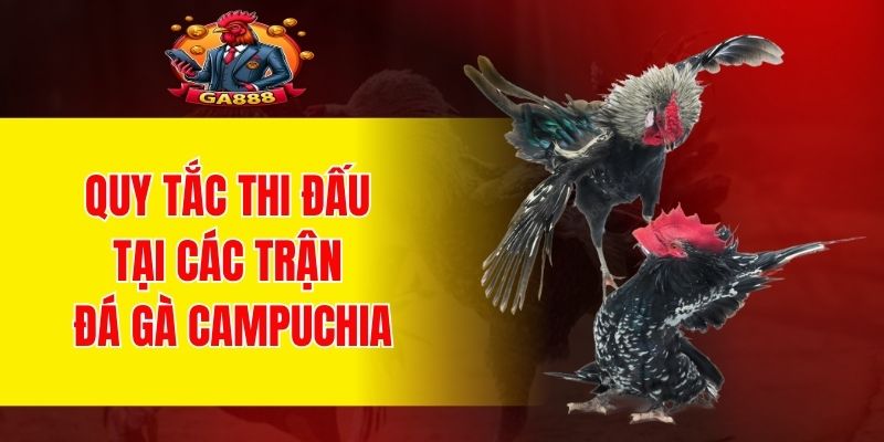 Quy tắc thi đấu tại các trận đá gà Campuchia