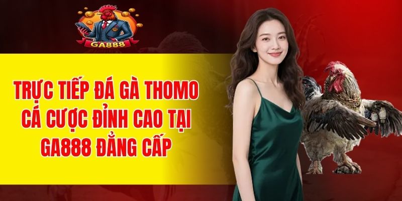 Trực Tiếp Đá Gà Thomo - Cá Cược Đỉnh Cao Tại Ga888 Đẳng Cấp