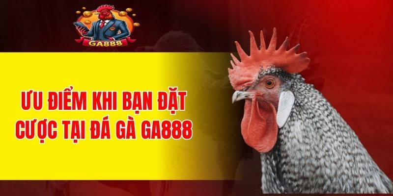 Ưu điểm khi bạn đặt cược tại đá gà GA888